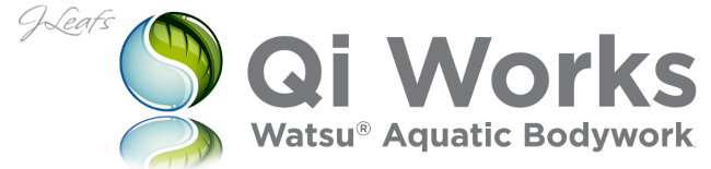 Qi Works logo. 